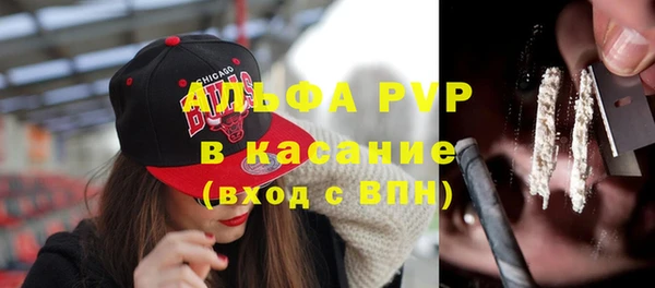 мдпв Ладушкин