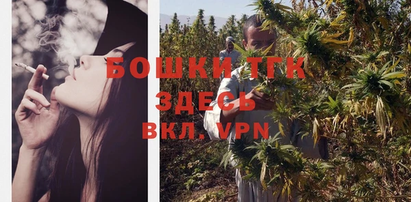 сатива Лагань