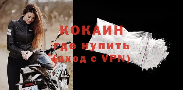 мдпв Ладушкин
