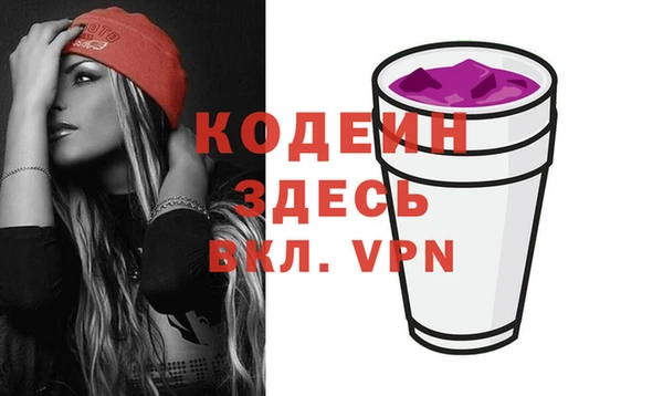 мдпв Ладушкин
