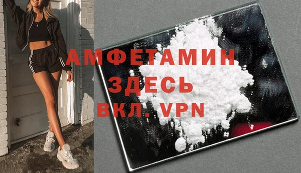 мдпв Ладушкин