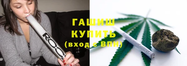 мдпв Ладушкин