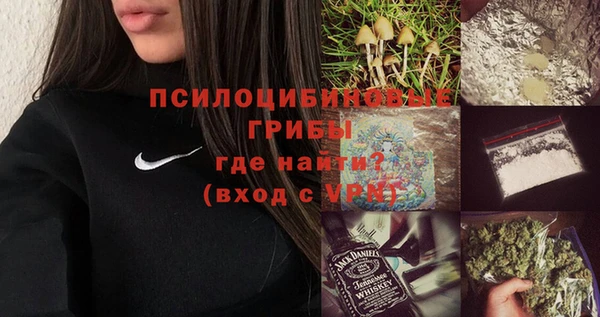 сатива Лагань
