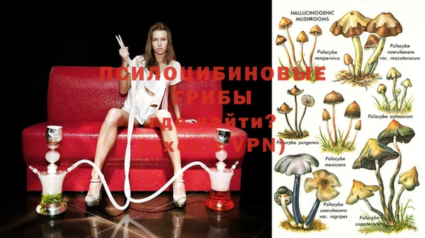 сатива Лагань