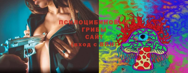 сатива Лагань