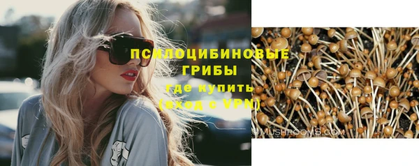 сатива Лагань