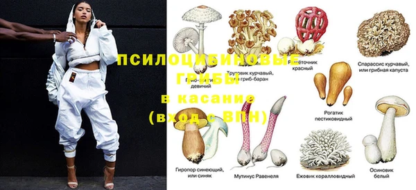 мдпв Лабытнанги